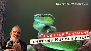 Wie du TIER-KRÄFTE rufst || Ein Schamane skizziert das Vorgehen - KRAFTTIERE 3/5