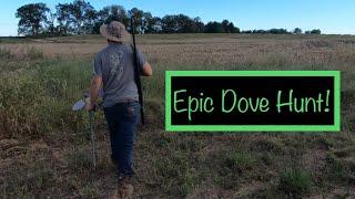 Dove Hunting : Decoying Doves With A Mojo