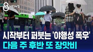 시작부터 퍼붓는 '야행성 폭우'…다음 주 후반 또 장맛비 / SBS 8뉴스