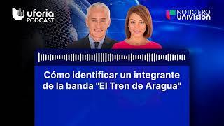 Cómo identificar un integrante de la banda "El Tren de Aragua" | Noticias Univision