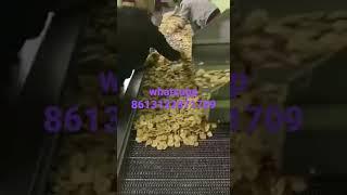 banana chips production line,machine2@genyond.com