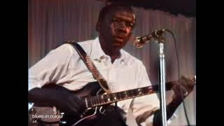 John Lee Hooker - 'Boom Boom' live [Colourised] 1969