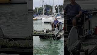 REED CUTTING FLOATING BOAT - A VERY STRANGE WORK MACHINE :)