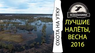 Охота на утку. Лучшие налеты. Весна 2016