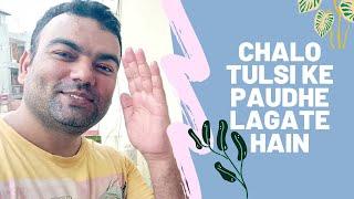 Chalo ghar me tulsi lagate hai | The BhavSagar Vlogs