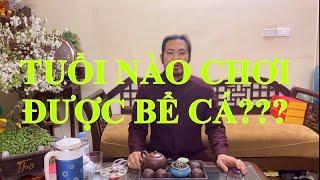 Tuổi nào chơi được bể cá? Tác dụng của bể cá và cách dùng bể cá để kích hoạt tài Lộc