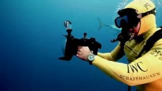 IWC Aquatimer Chronograph Edition SHARKS & Michael MULLER