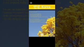 [Reading Korean] Daily Philosophy #koreatrip #한국어 #learnkorean, #GlobalFriends, #안녕Korea