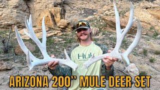 SHED HUNTING 2024 | 200" MULE DEER SET