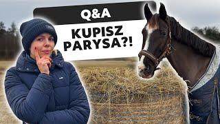 CZY KUPIĘ PARYSA?  | CZY ZAZDROSZCZĘ ALEKSIE? 🫣 | Treningi skokowe + Q&A 