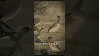 （下集）弟子问：道教不可食什么物？师傅答曰：道家传统“四不吃”，这四种食物分别代表了对于牲畜、禽鸟和宠物的尊重与感激，强调了忠诚，孝道和生命尊重的核心价值观！#国学智慧 #道教 #道家文化