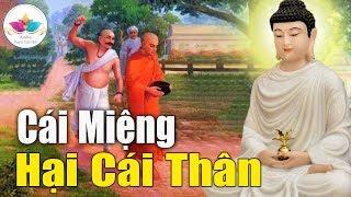 Sống Ở Đời, Cái Miệng Đừng M.ắng Ch.ư.ỉ Cay Độc Và Chịu Cái Kết...Đừng Bao Giờ Xem Thường Người Khác