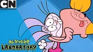 Dexter's Laboratory | Animal Swapping Remote | Cartoon Network