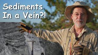 Vein Sediments