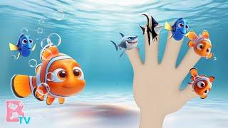 FINDING NEMO NEW FINGER FAMILY - Nursery Rhymes & Kids Songs