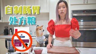 自制狗狗肠胃处方粮 软便拉肚呕吐肠胃炎寄生虫感染 Homemade GI diet for Dog