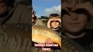 New Video on channel, Thatchers Island Carp Fishery. #fishing #carpfishing #catchandrelease #bigfish