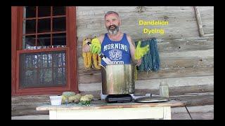 How to dye yarn with Dandelions.