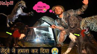 Leopard attack on Our Camping | Leopard ने मैक्स और मेरे पे हमला कर दिया | Night Camping Gone Wrong