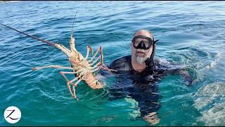 Catching HUGE LOBSTERS in the Caribbean! (Ep 301)