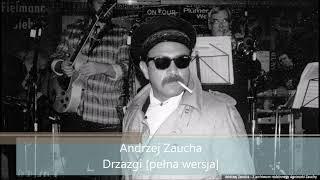 Andrzej Zaucha - Drzazgi [pełna wersja] 1982