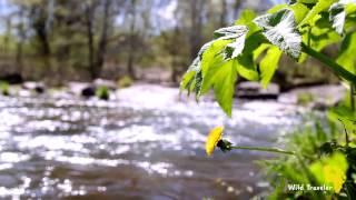 Самые красивые места в Украине: Корсунь-Шевченковский парк.