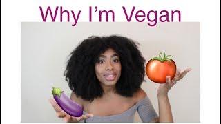 WATCH THIS IF YOU'RE HUNGRY! My Vegan Journey