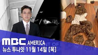 "곰 아니잖아!"...보험사도 놀란 "기상천외 수법" - MBC AMERICA (2024년 11월 14일)