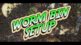 LEARN how to FILL A WORM BIN, Simple Beginners Guide to filling a new Worm Bin.