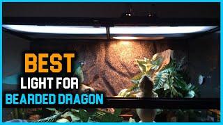 Top 4 Best Lights for Bearded Dragon [Review] - Mini Compact Mercury Vapor Bulb [2023]