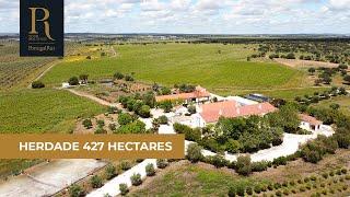 Herdade de 427 ha confinante com o Alqueva | Ref. 845