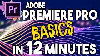 Adobe Premiere PRO CC Basics - Tutorial for Beginners (2020)