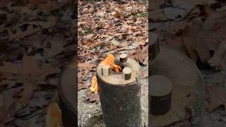 Swedish torch stove #bushcraft #camping #outdoortips