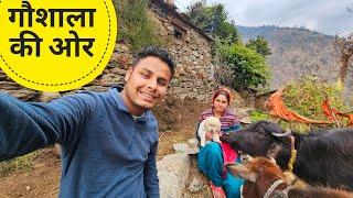 Gaushala and village life in the mountains | Villagers lifestyle in Uttarakhand | Pahadi life | R...