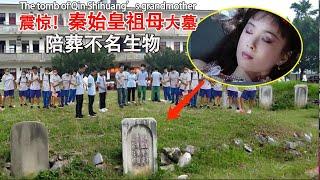 The tomb of "Qin Shihuang's grandmother" was excavated, and a large extinct creature was found