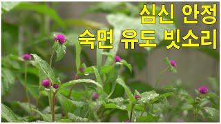 불면증 빗소리 asmr 잠잘오는 빗소리 3시간