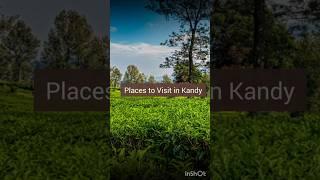 Places to visit in Kandy #shorts #explore #travel #food #ramkitraveller