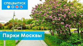 Спецвыпуск: парки Москвы