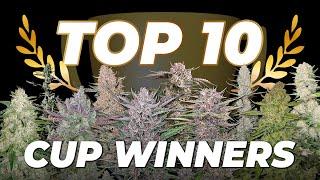 Top 10 Cup Winners | Check Out Fast Buds award-winning Strains