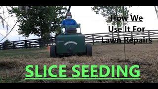 Slice Seeding a Partial Lawn Repair, I'll show why, how, and the results of slit seeding process?