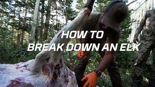 How to Field Dress an Elk (Gutless Method) | Hoyt Hunting Tips