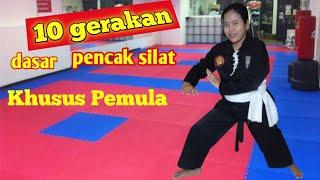 10 Teknik dasar pencak silat