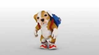 Tu tv Videos de Música Video Perrito bailando regueton