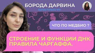 Строение и функции ДНК. Медбио.