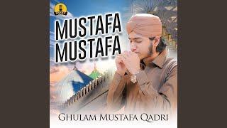 Mustafa Mustafa