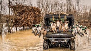 DUCK HUNTING FLOODED WILLOWS IN ARKANSAS!! Mallards, Gadwall, Wigeon, & Teal from Epic Duck Blind!