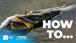 How To Tie A Pike Deadbait Trace - Pike Fishing Quickbite