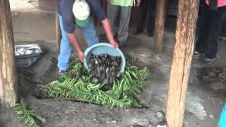 How to Make a Curanto - Surf N Turf Baked in the Earth