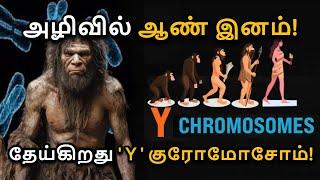 Scientists Say Y Chromosome Is Disappearing in Tamil | MEN are DYING!