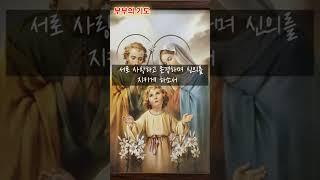 [매일기도] 부부의 기도